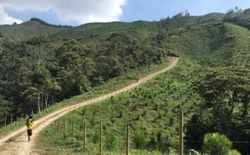 Caminata por la ruta La Valeria invita a recorrer la naturaleza en Caldas Caminata por ruta La Valeria Caldas